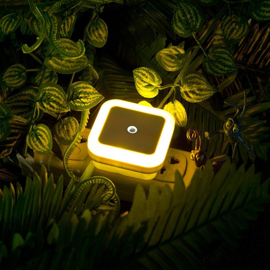 LED Night Lights