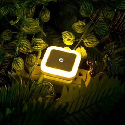 LED Night Lights