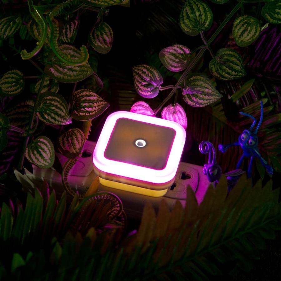 LED Night Lights