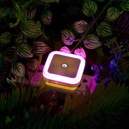 LED Night Lights