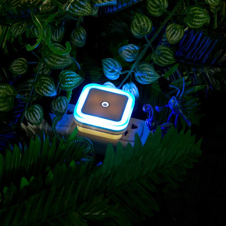 LED Night Lights